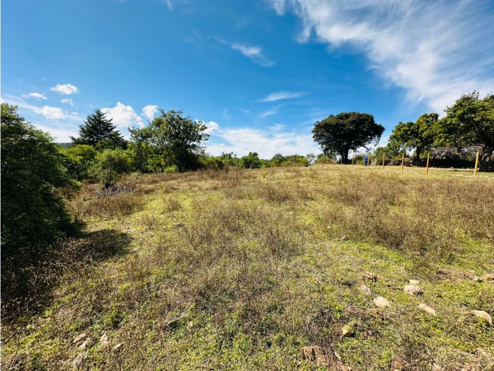 Terreno Rincón Acatitlan L2 — foto 5