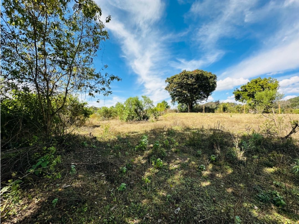 Terreno Rincón de Estradas Acatitlan L1