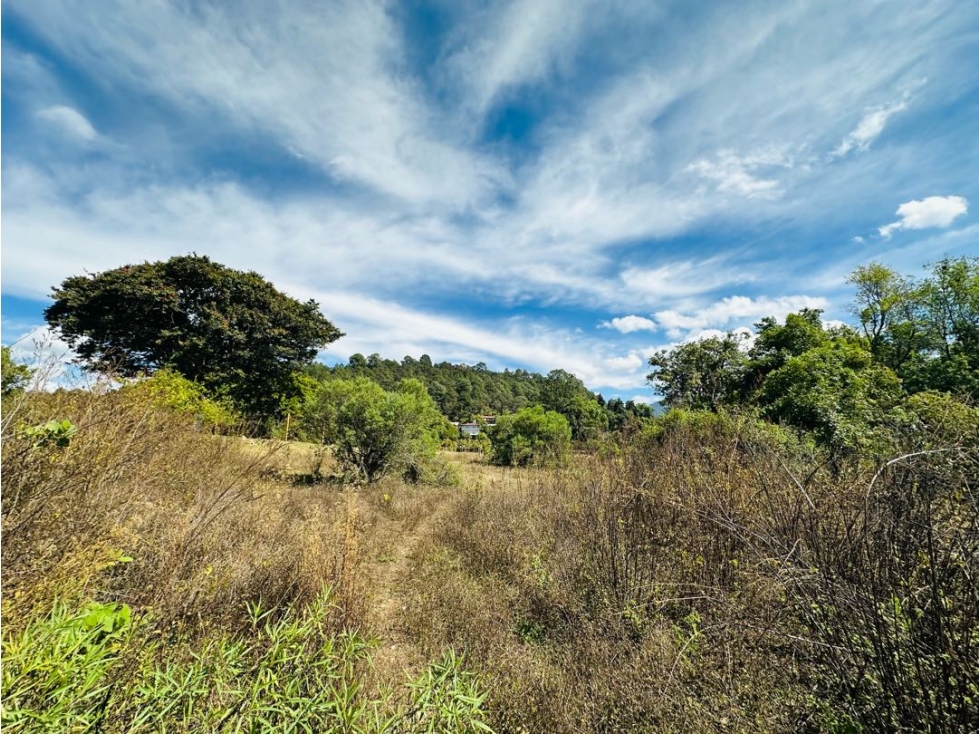 Terreno Rincón de Estradas Acatitlan L1 — foto 3