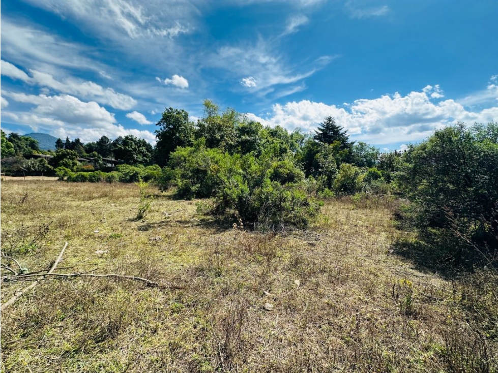 Terreno Rincón de Estradas Acatitlan L1 — foto 4