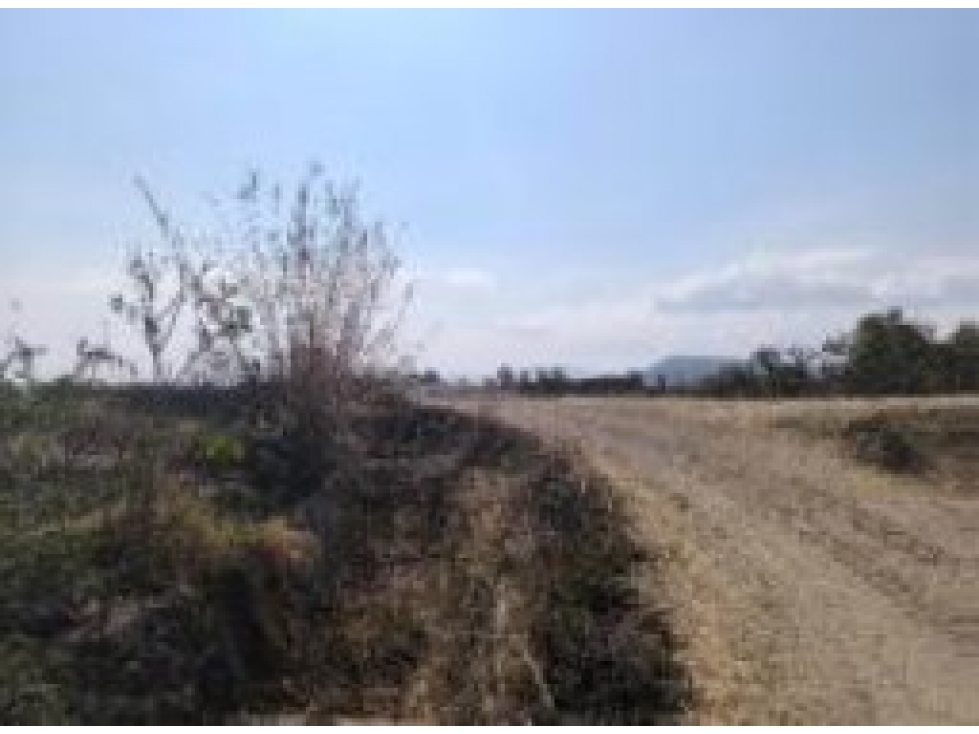 Terreno Rústico en Venta 1639m² - Ex Hacienda San Cristóbal, Acámbaro - 3