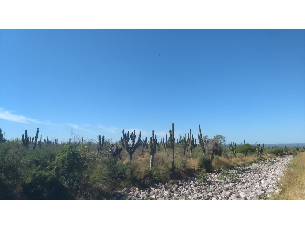 Terreno rústico en venta en Rancho Lagunillas, La Paz - 1