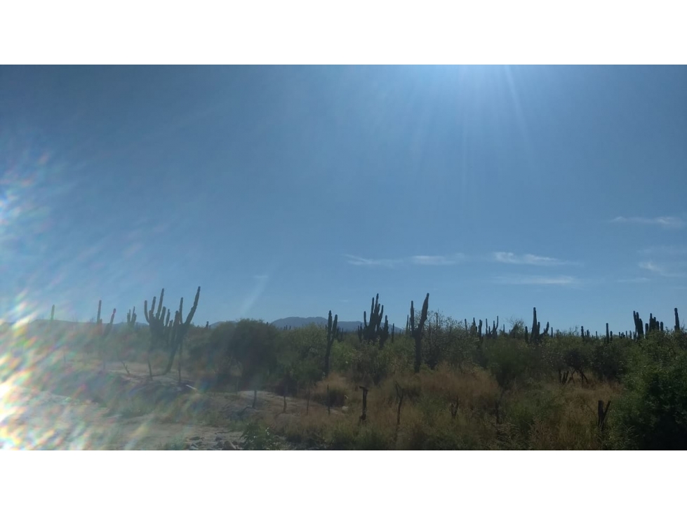 Terreno rústico en venta en Rancho Lagunillas, La Paz - 3