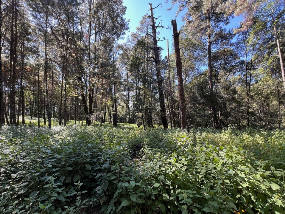 TERRENO SAN SIMÓN EL ALTO ANCON