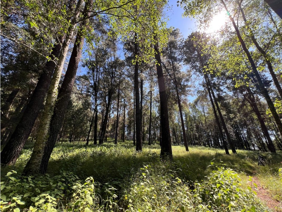 TERRENO SAN SIMÓN EL ALTO ANCON — foto 2
