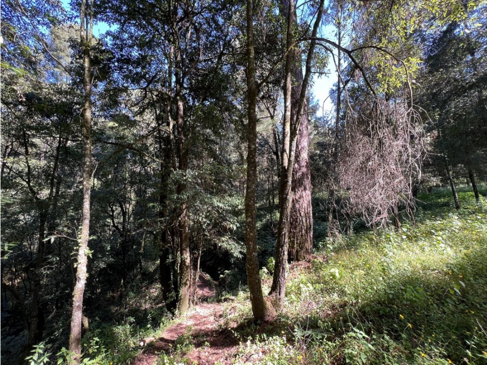 TERRENO SAN SIMÓN EL ALTO ANCON — foto 3