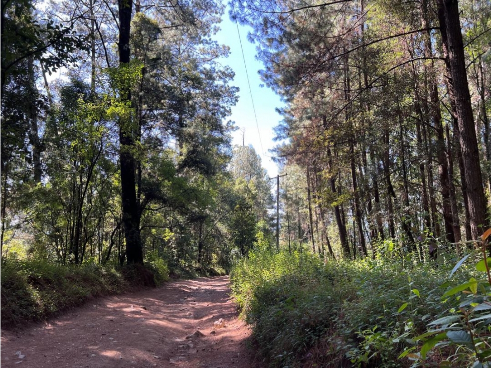 TERRENO SAN SIMÓN EL ALTO ANCON — foto 5