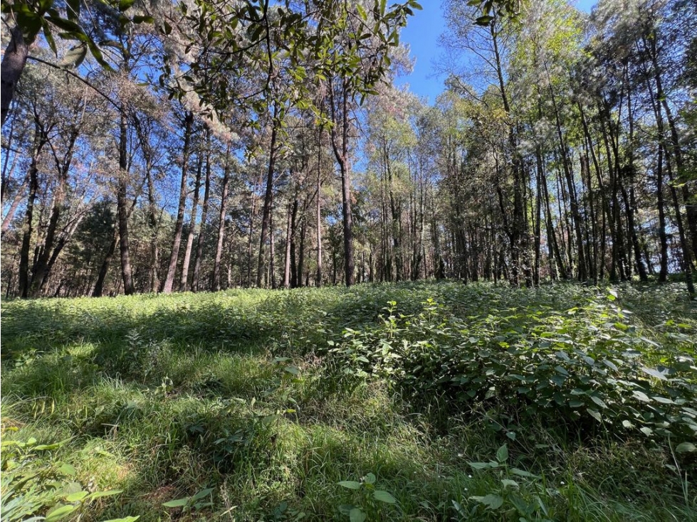 TERRENO SAN SIMÓN EL ALTO ANCON — foto 6