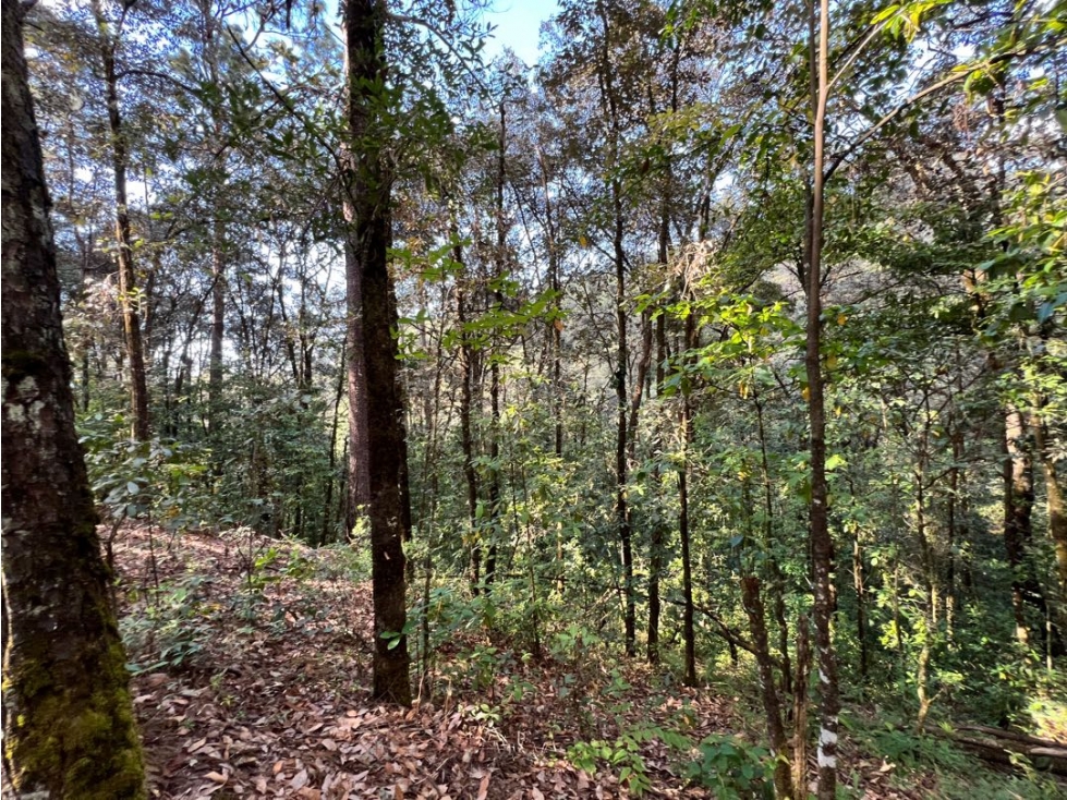 TERRENO SAN SIMÓN LOMA COLORADA — foto 3