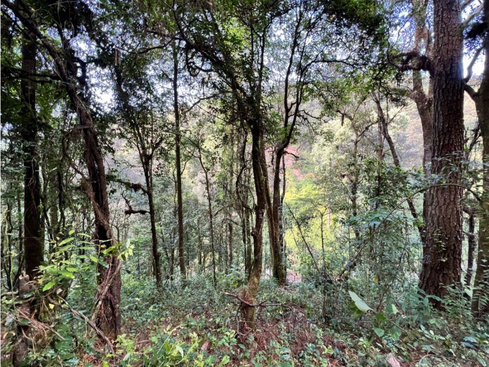 TERRENO SAN SIMÓN LOMA COLORADA — foto 6