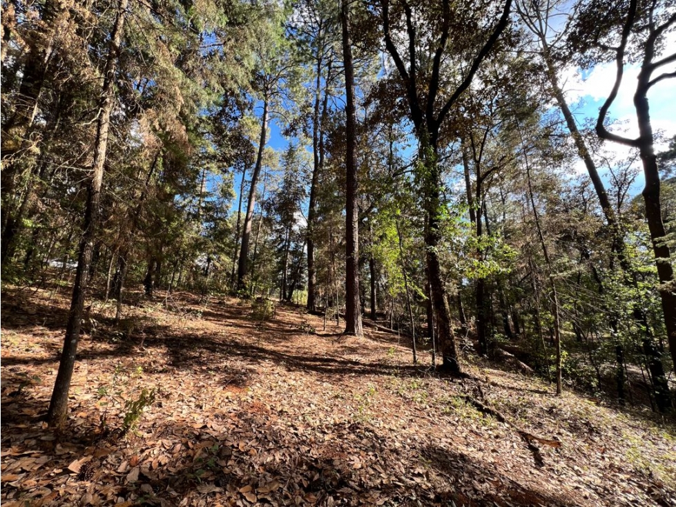 TERRENO SAN SIMÓN LOMA COLORADA