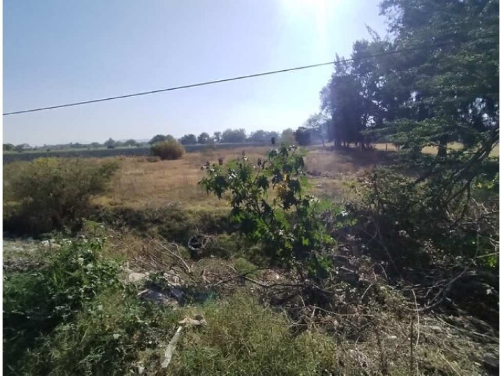 Terreno Urbano en Venta 2,324 m² - La Huerta, Vista Hermosa, Michoacán - 1