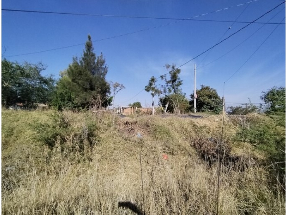 Terreno Urbano en Venta 2,324 m² - La Huerta, Vista Hermosa, Michoacán - 2