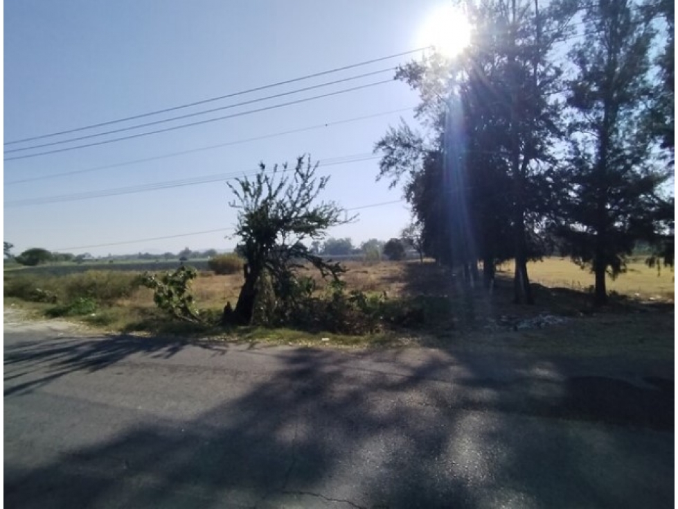 Terreno Urbano en Venta 2,324 m² - La Huerta, Vista Hermosa, Michoacán - 3