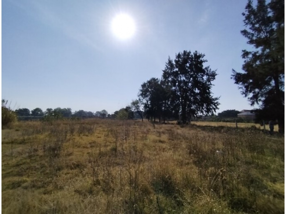 Terreno Urbano en Venta 2,324 m² - La Huerta, Vista Hermosa, Michoacán - 4