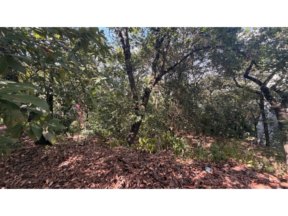 Terreno venta Chipinque Olinala san pedro - 3