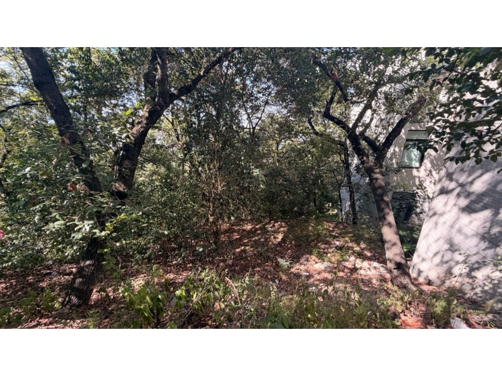 Terreno venta Chipinque Olinala san pedro - 4
