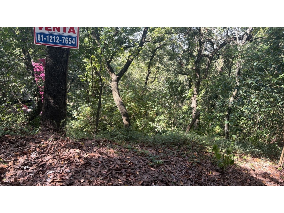 Terreno venta Chipinque Olinala san pedro - 5