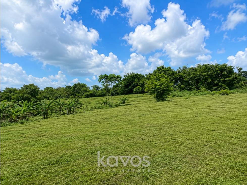 TERRENO - VENTA - DARIEN - 2