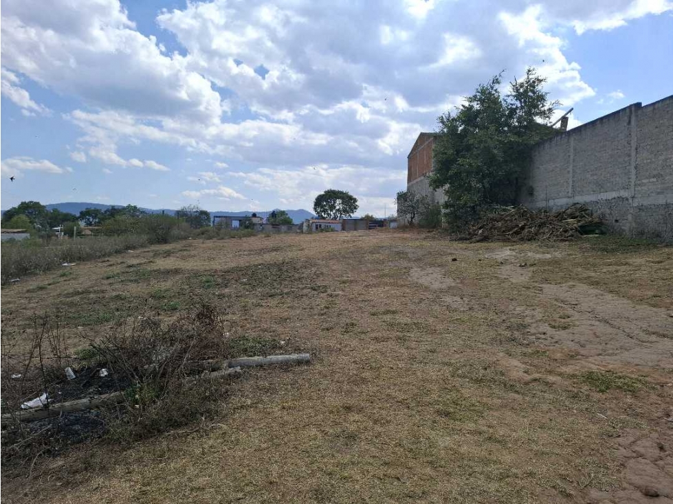 TERRENOS EN SAN JOSE DE LAS TORRES — foto 3