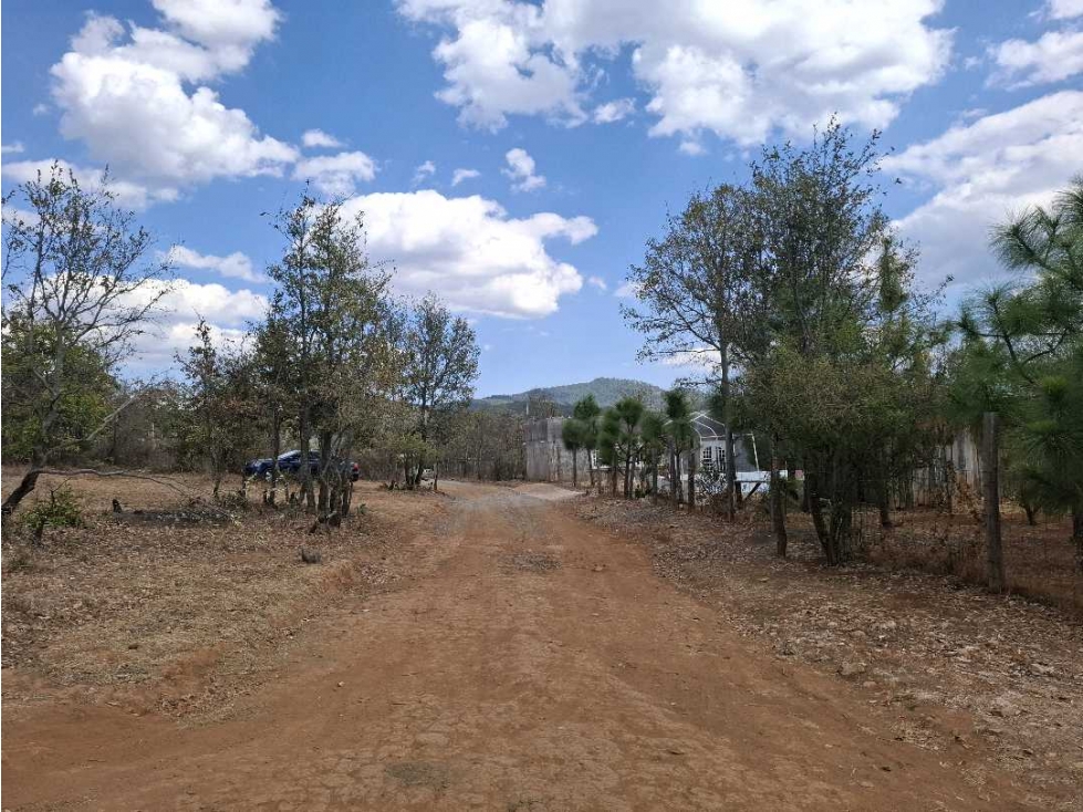 TERRENOS EN SAN JOSE DE LAS TORRES