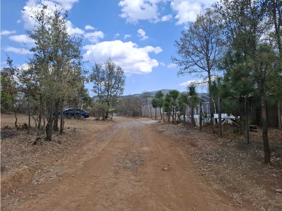 TERRENOS EN SAN JOSE DE LAS TORRES — foto 2