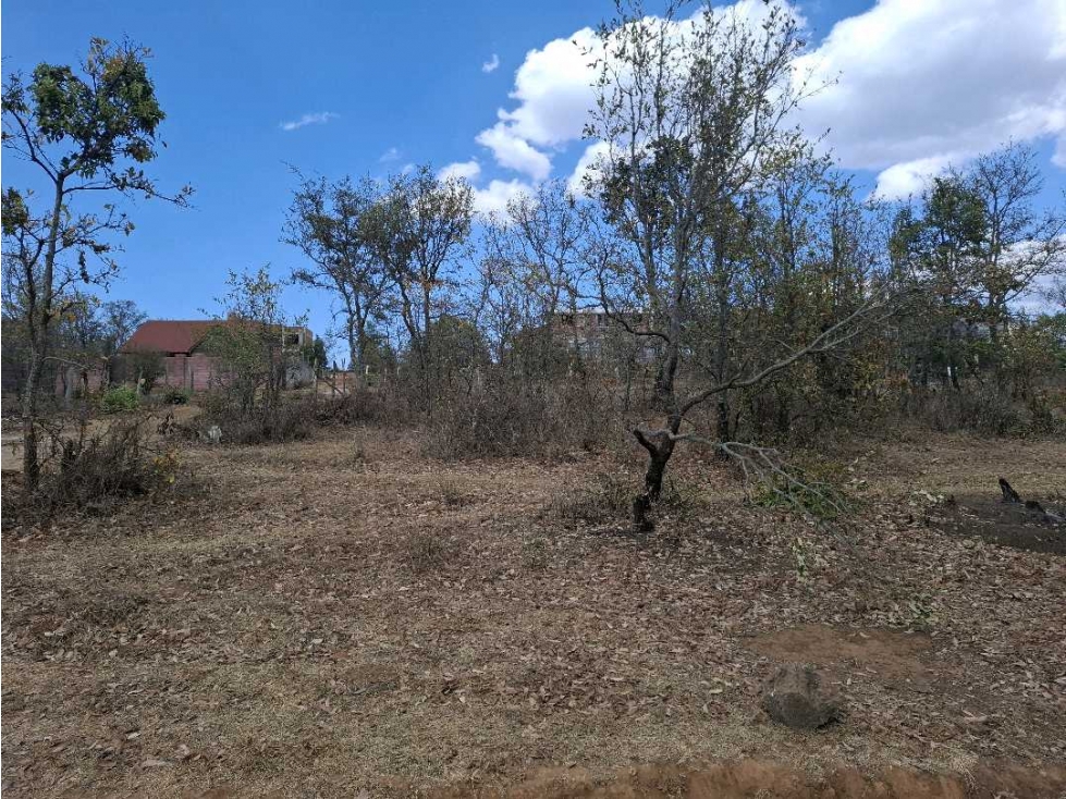 TERRENOS EN SAN JOSE DE LAS TORRES — foto 3
