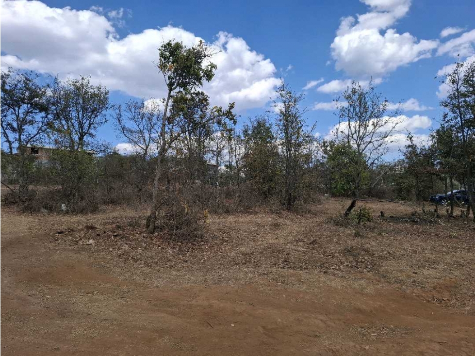 TERRENOS EN SAN JOSE DE LAS TORRES — foto 4