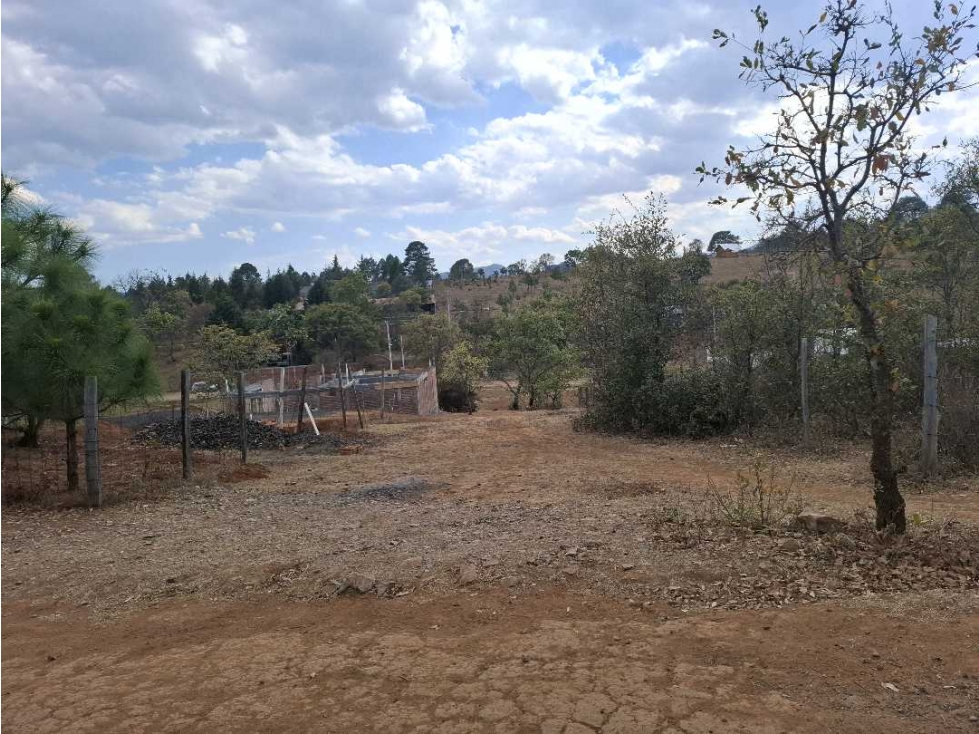 TERRENOS EN SAN JOSE DE LAS TORRES — foto 5