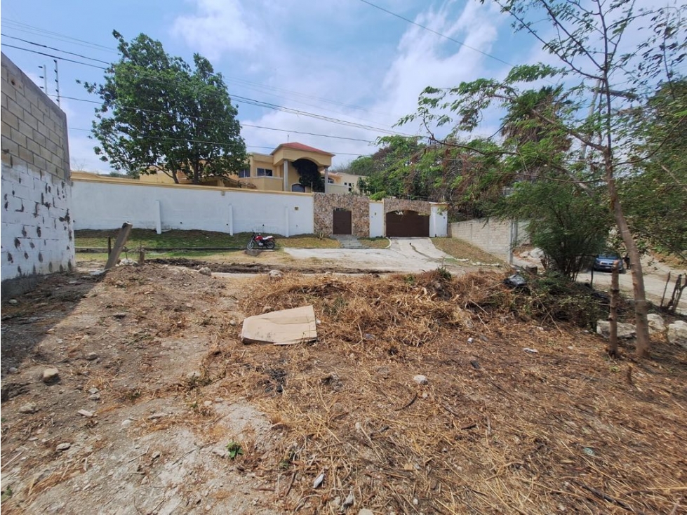 Terrenos en venta Colonia Mactumtza - 1