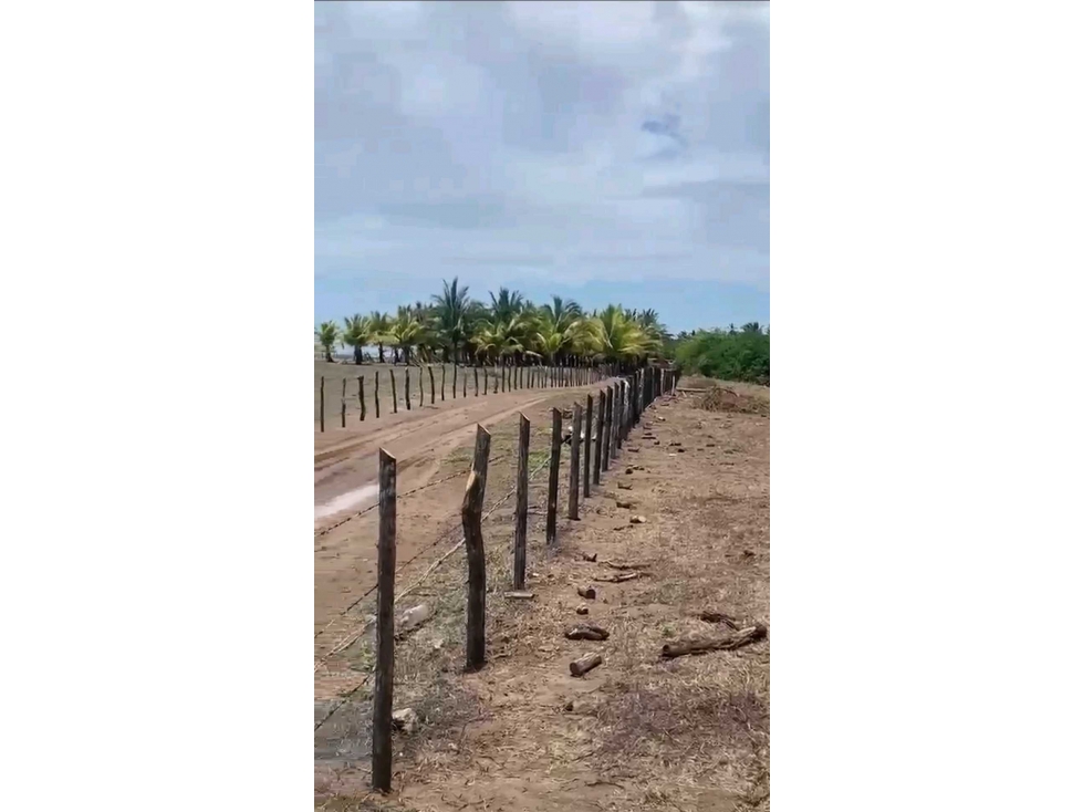 TERRENOS EN SERENA INFINITA NAYARIT DESDE $319,200 — foto 3