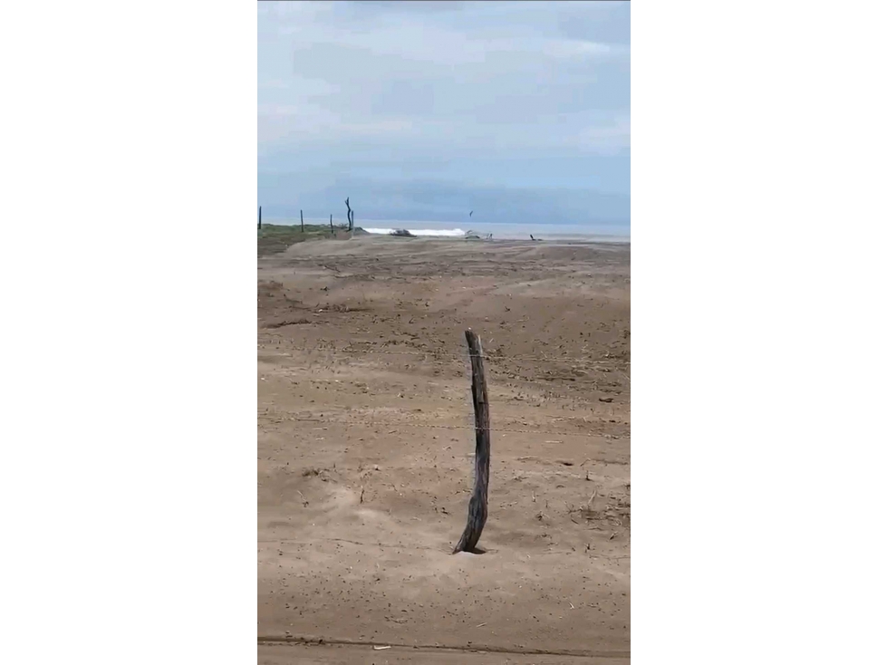 TERRENOS EN SERENA INFINITA NAYARIT DESDE $319,200 — foto 4