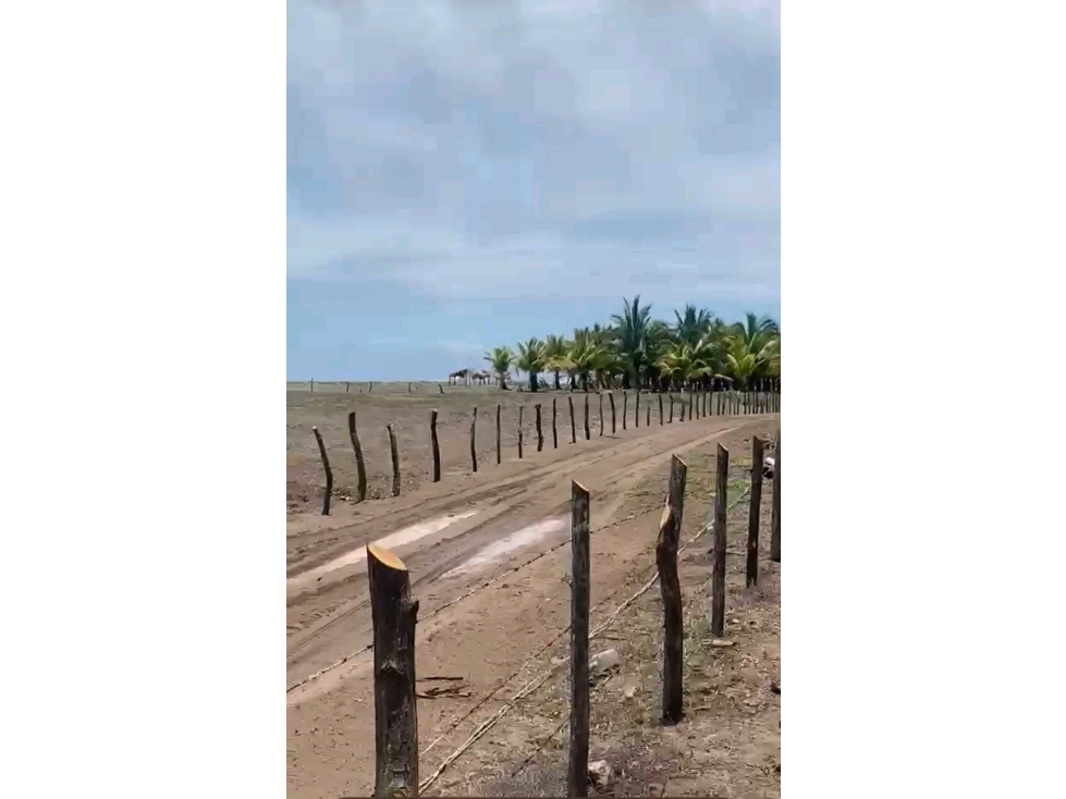 TERRENOS EN SERENA INFINITA NAYARIT DESDE $319,200 — foto 6
