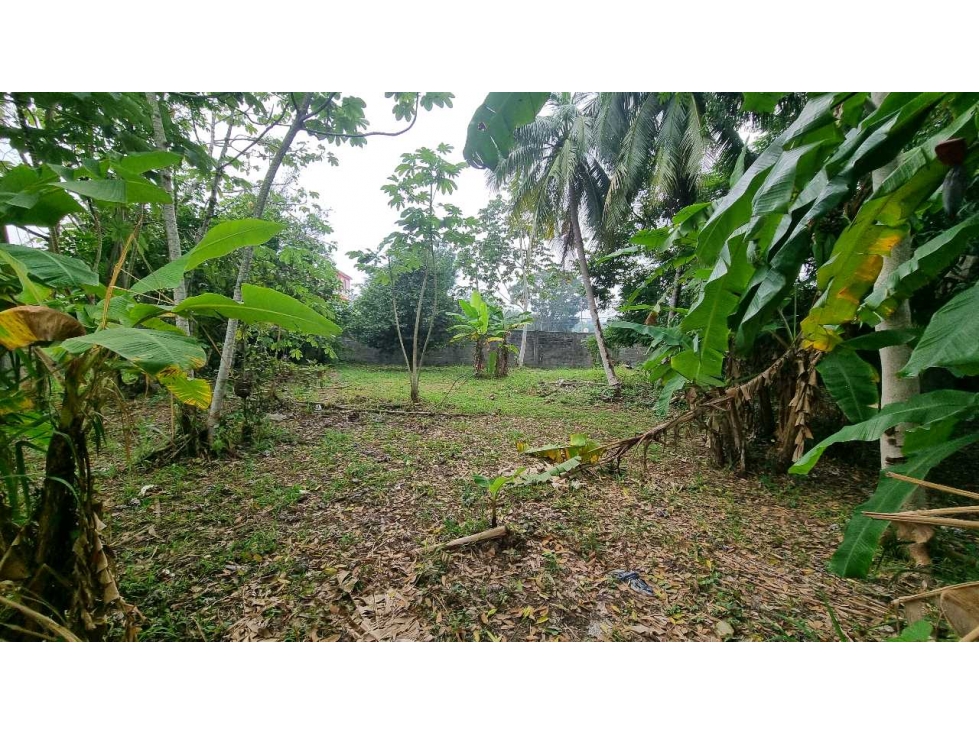 Terreno en Venta, Carretera Cardenas a Comalcalco. Col. De.los Santos - 4