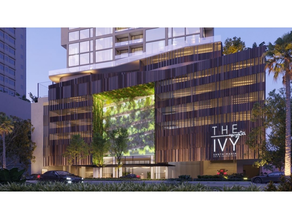 THE IVY - SANTA MARÍA — foto 6