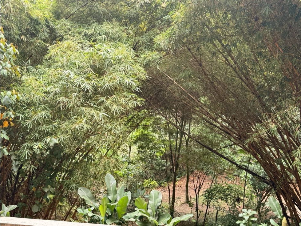 Tierra grata Envigado sector cumbres — foto 2
