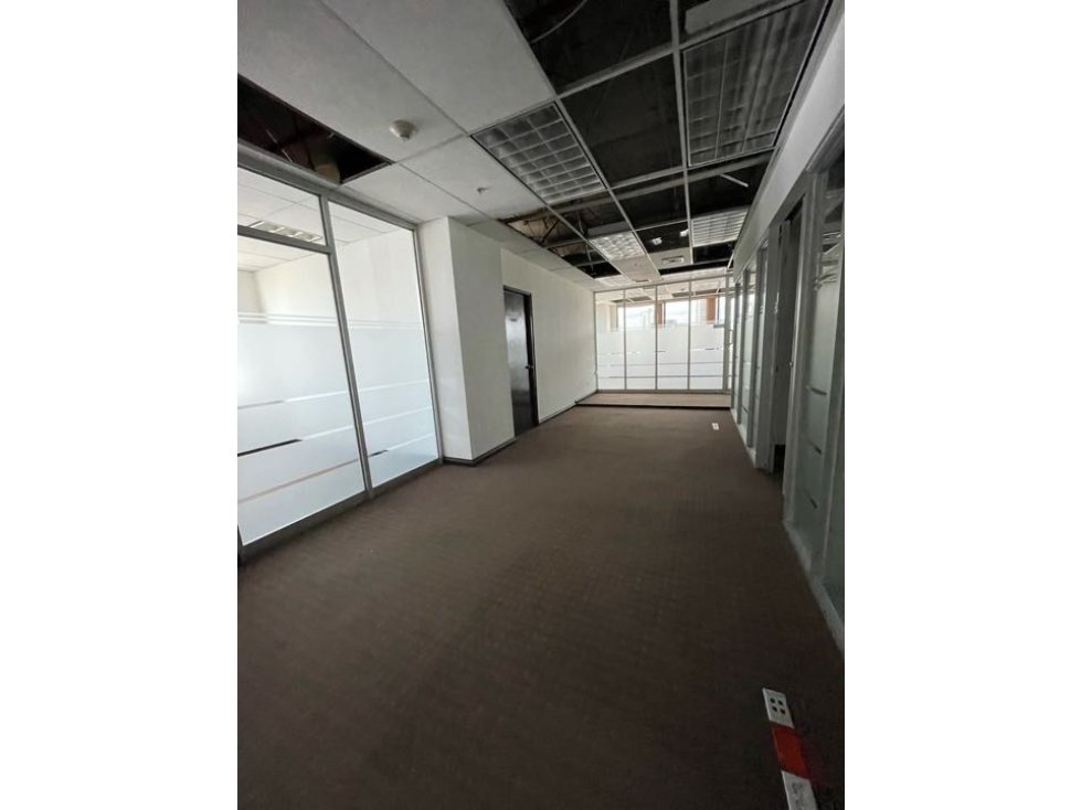 CALLE 50/ TORRE CREDICORP OFICINAS /ALQUILER - 6