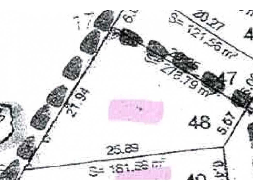 TERRENO EN VENTA MIXTONTLA DE LA CRUZ 273.79 M2 $ 1,300.00 M2 Lote 48 - 1