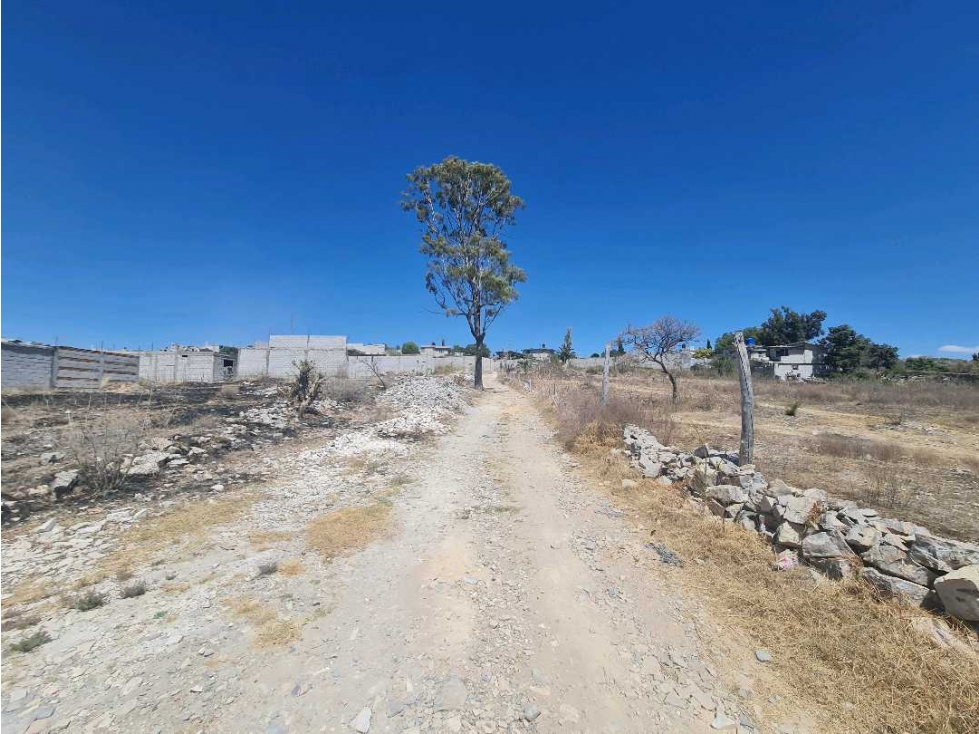 TERRENO EN VENTA MIXTONTLA DE LA CRUZ 273.79 M2 $ 1,300.00 M2 Lote 48 - 3