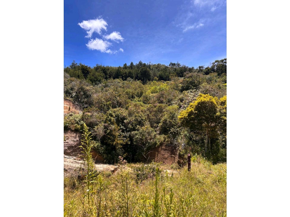 Lote en venta en San Vicente vereda Porvenir, a 10 min del parque — foto 3