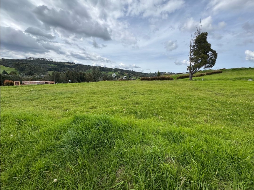 Hermoso Lote / Alto de Las Palmas / Oportunidad de Inversión +40% ROI — foto 2