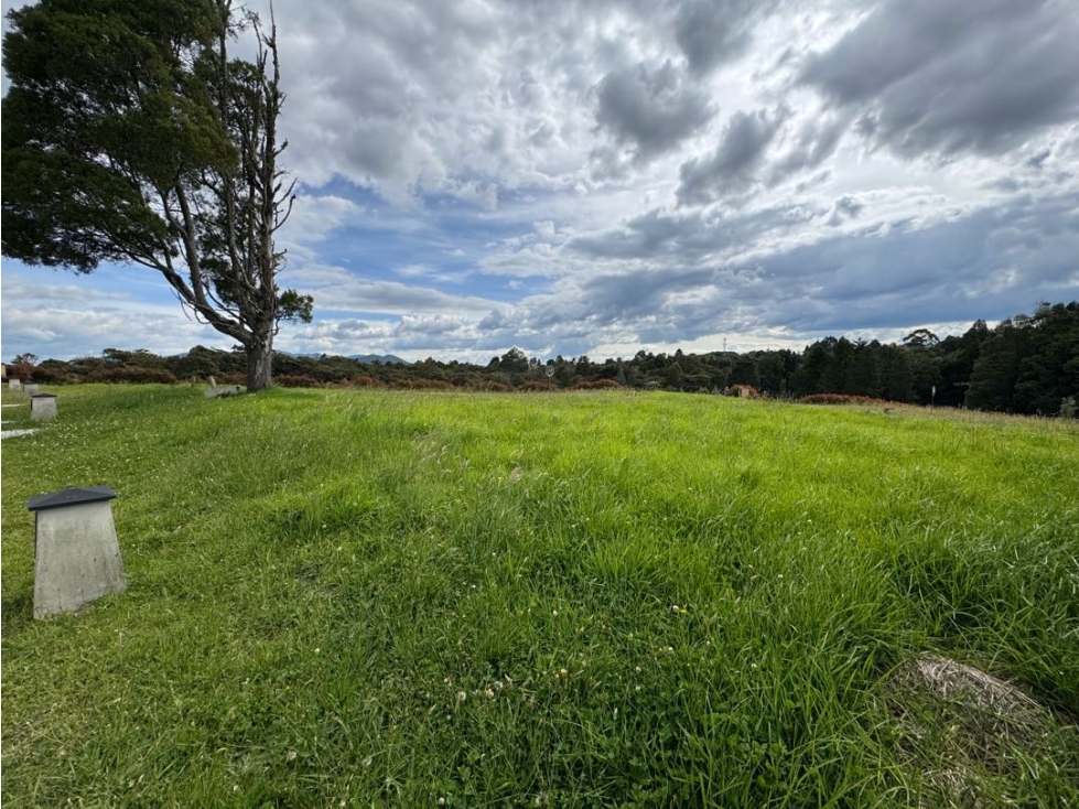 Hermoso Lote / Alto de Las Palmas / Oportunidad de Inversión +40% ROI — foto 3