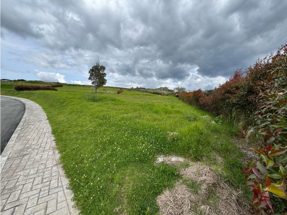 Hermoso Lote / Alto de Las Palmas / Oportunidad de Inversión +40% ROI — foto 4
