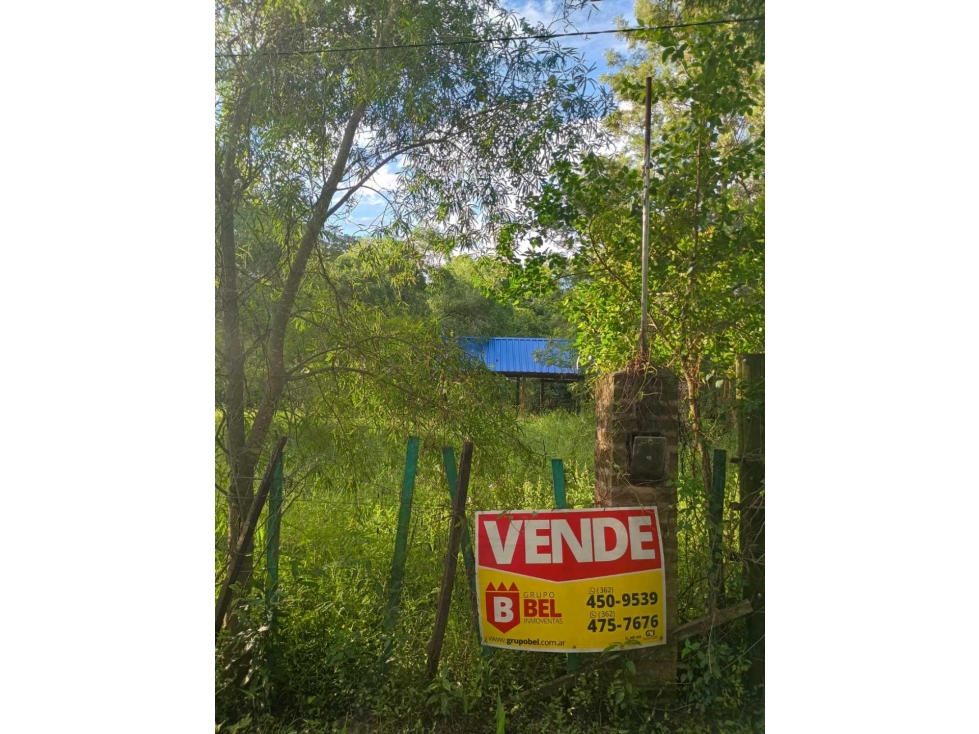 La esquina Salvaje, gran terreno arbolado, Colonia Benitez. - 3