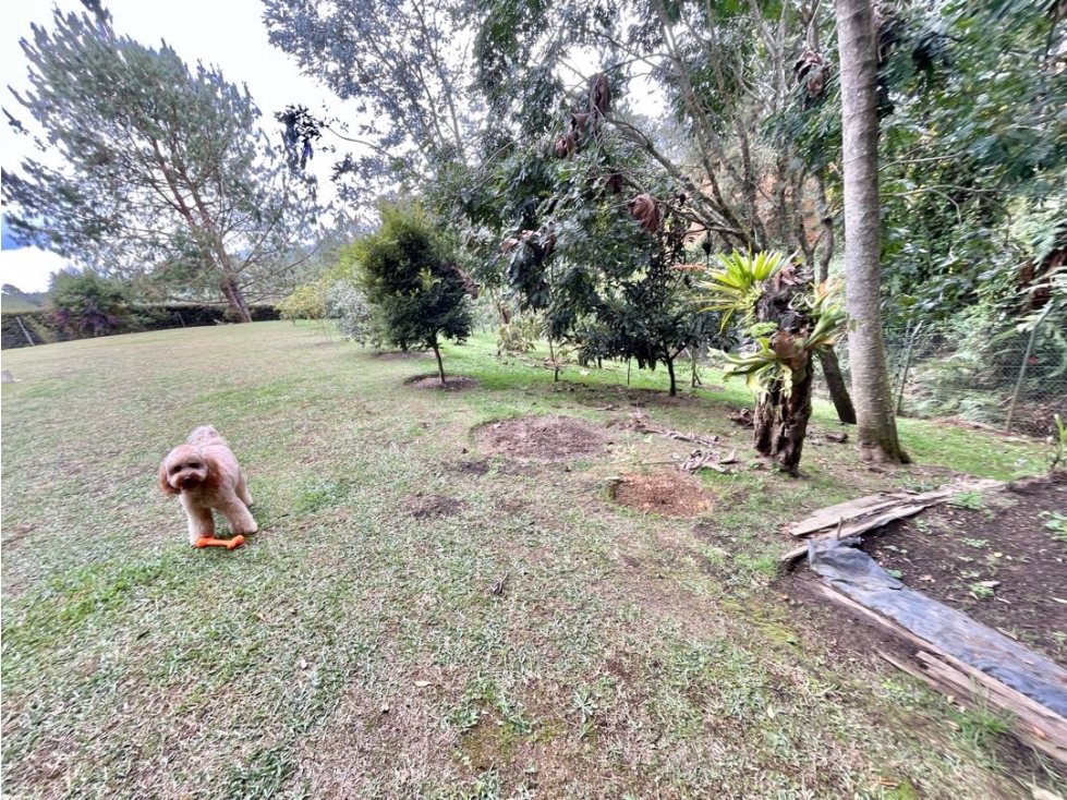 Una propiedad ideal en venta Loma El Escobero Envigado. — foto 6