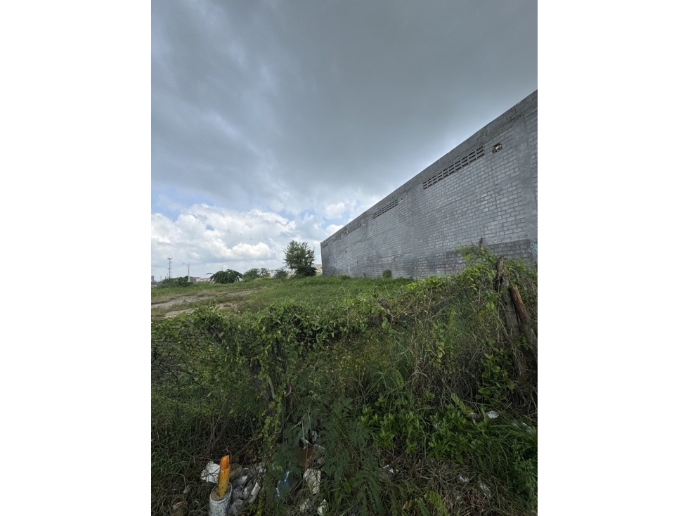 URBANIZACION LA CAROLINA UBICADA ENTRE LA VARIANTE CARTAGENAMAMONAL Y — foto 3
