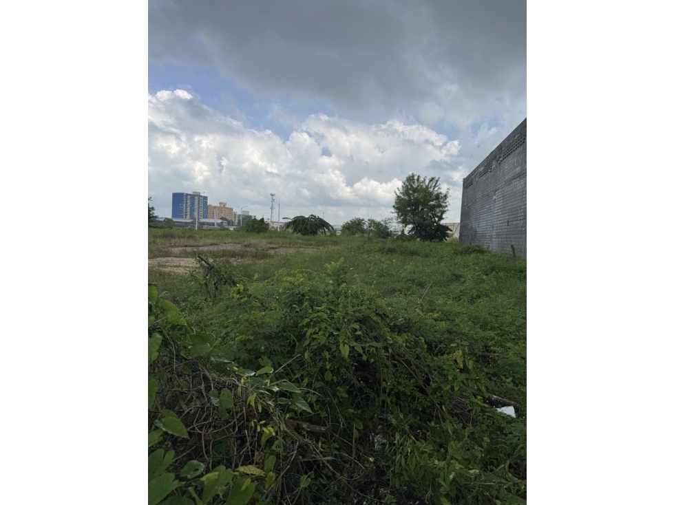 URBANIZACION LA CAROLINA UBICADA ENTRE LA VARIANTE CARTAGENAMAMONAL Y — foto 4