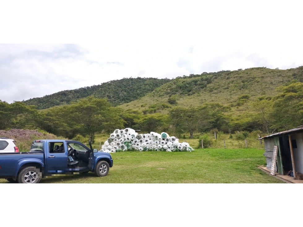 VDA CAJAMARCA - 4