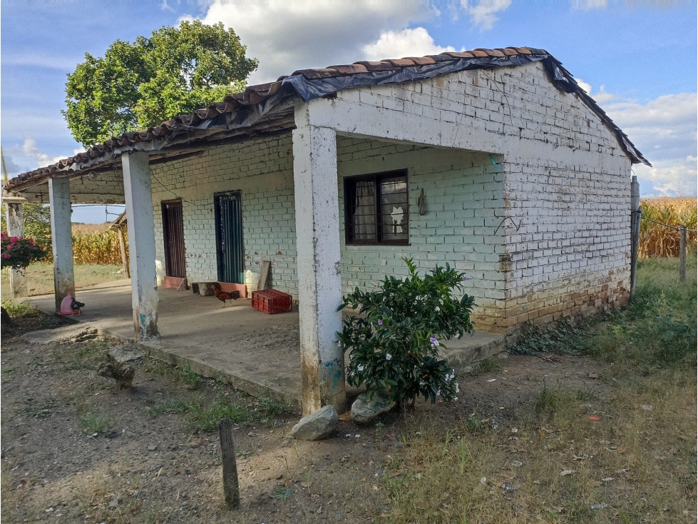 VDA DE PUERTO QUINTERO - 1