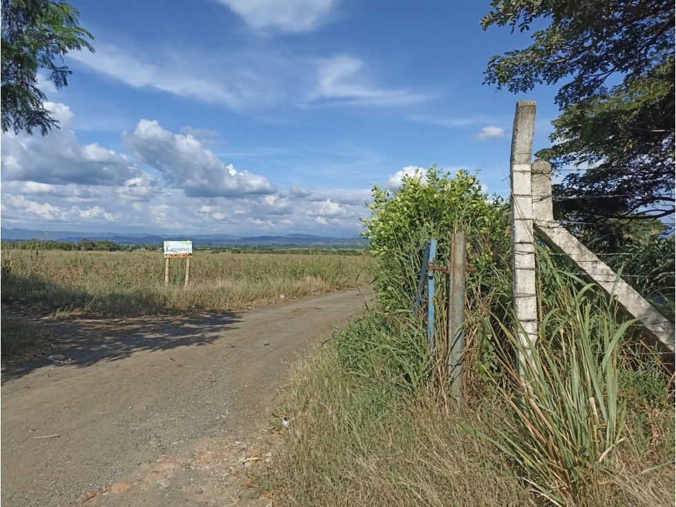 VDA EL REY FI CANAGUAY - 1